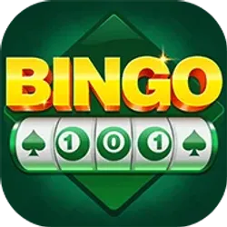 Bingo 101