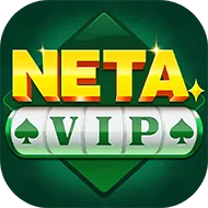 Neta VIP player reviews and user feedback